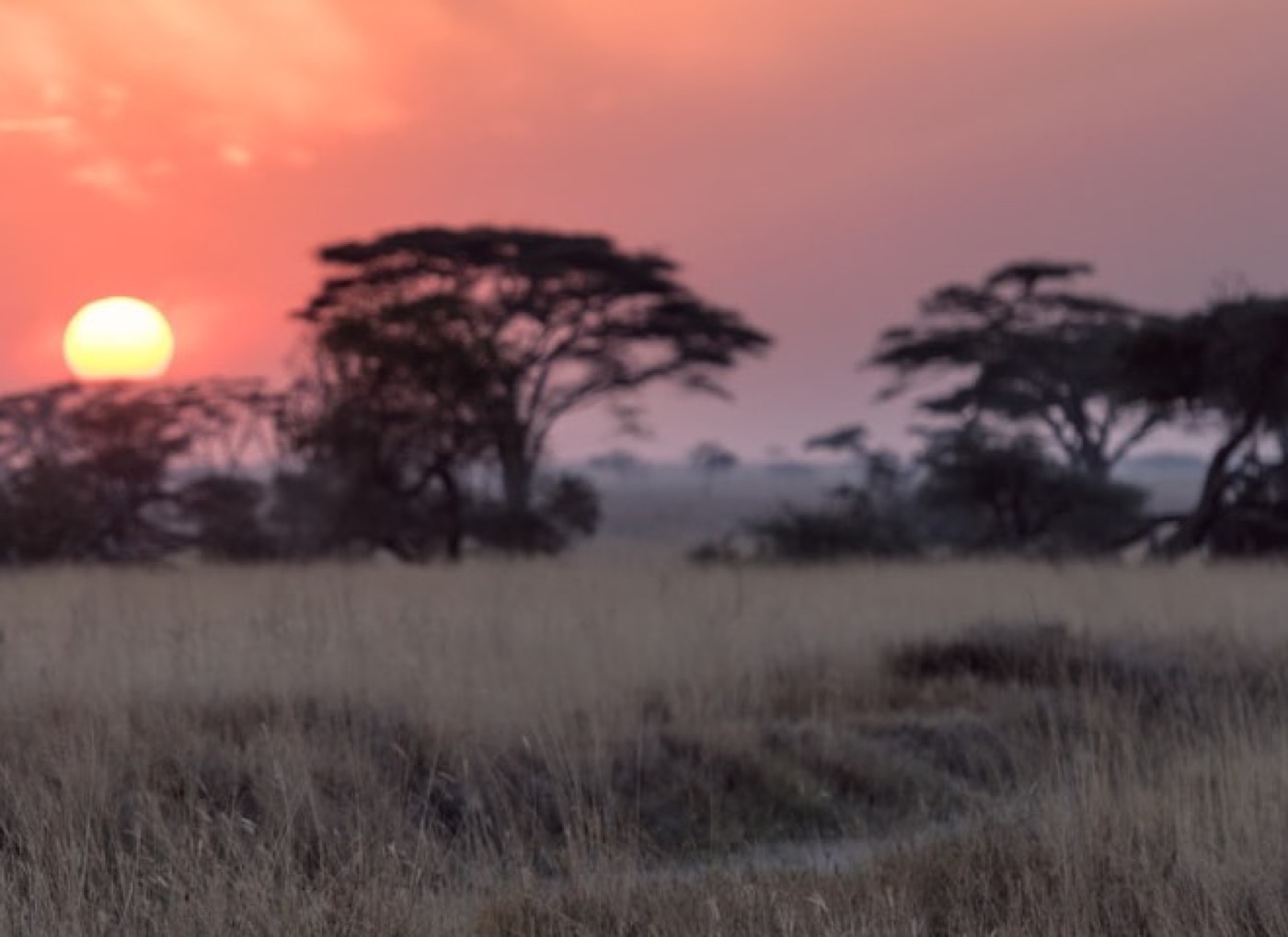 Karatu landscape